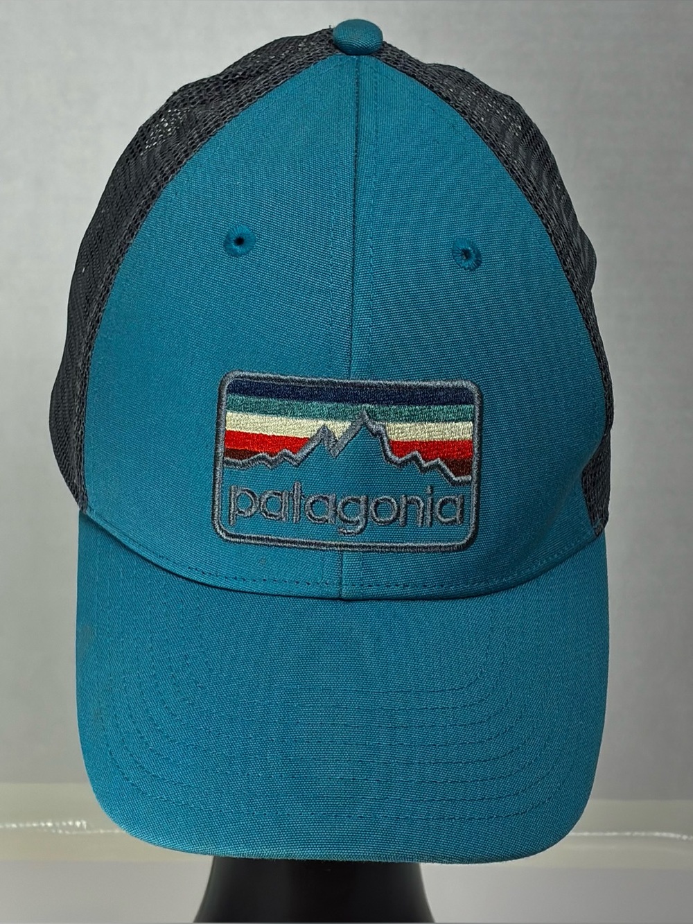 Patagonia Line Logo Badge LoPro Trucker Hat Beryl Green Rare Discontinued Cap